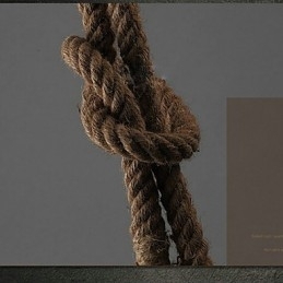 Kreativ Multifunksjonell Lysekrone I Hamptau