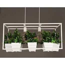 Moderne, Samtidskunstnerisk Dekorativ Design Pendellampe (Uten Planter)