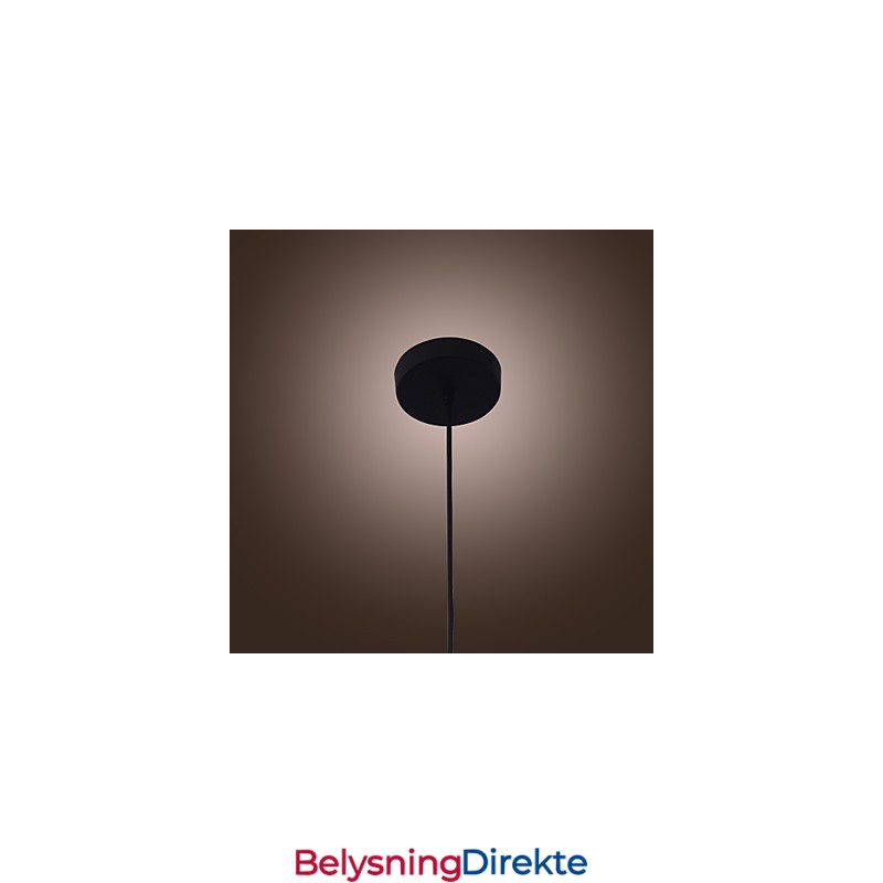 70W Moderne Glasspendellampe I Gjennomsiktig Flaskedesign