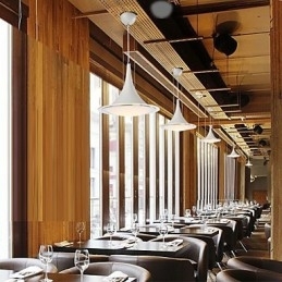 1 Pendellamper Droplight Akryl Lysekrone