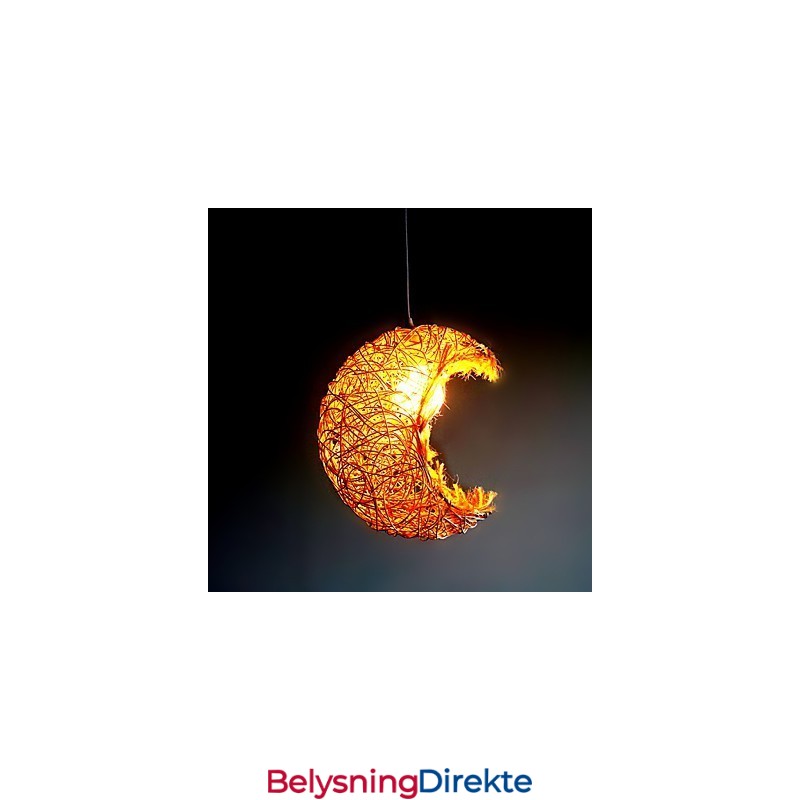 Moderne Landlig Cany Art Vevd Rotting Enkelthodet Droplight-Lampe