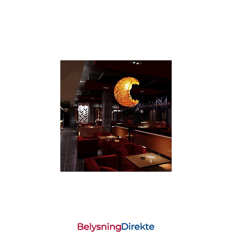 Moderne Landlig Cany Art Vevd Rotting Enkelthodet Droplight-Lampe