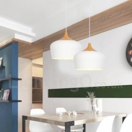 Moderne Samtidsstil 1 Lys Pendellampe