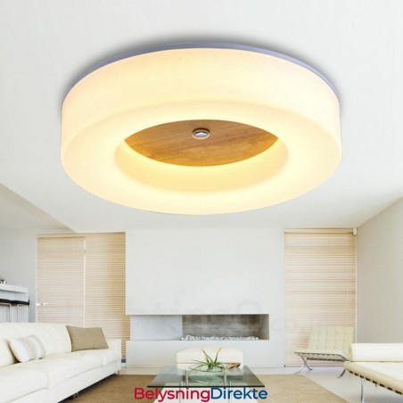 Moderne, Samtidskunstnerisk Nordisk Stil, Innfelt Taklampe Med Akrylskjerm