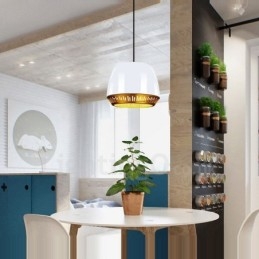 Moderne Og Samtids Pendellampe Med 1 Lys Med Svart, Hvit, Rød, Blå Skjerm