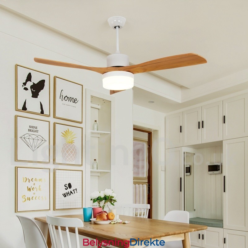 42" 48" Landlig Nordisk Takvifte