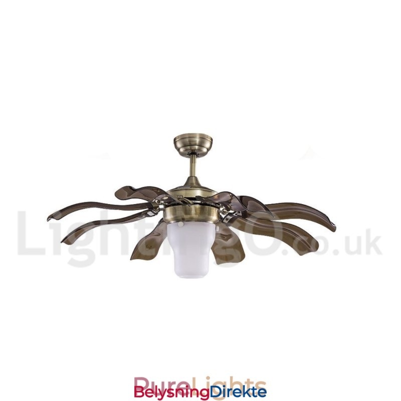 42" Moderne Takvifte