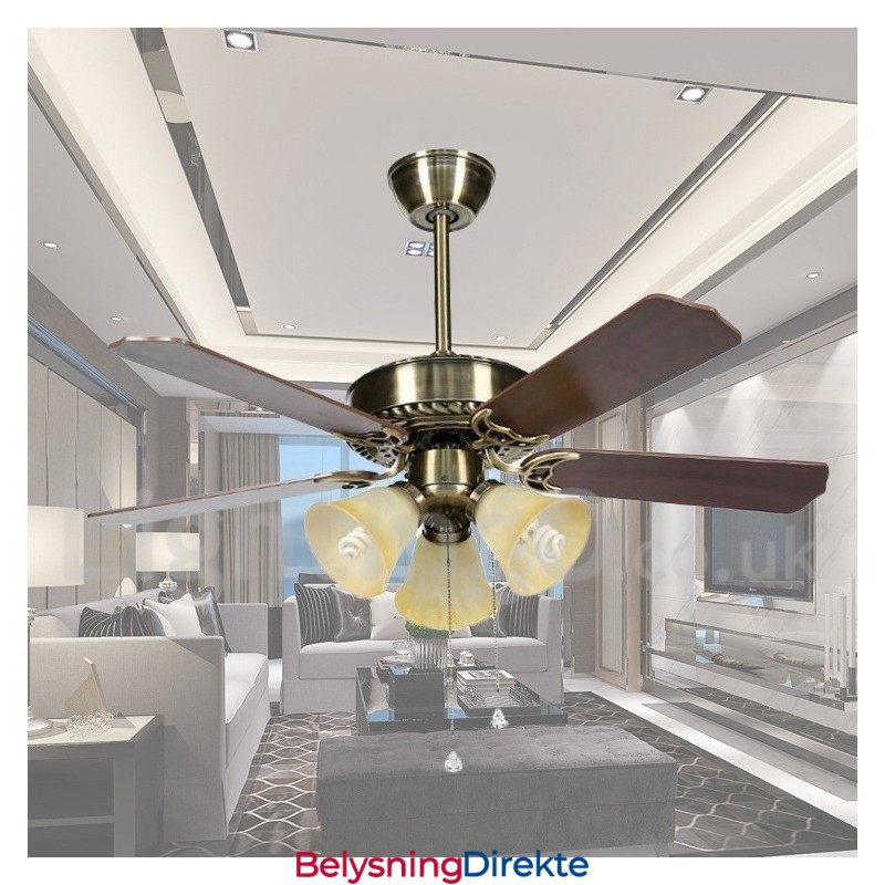 42" Moderne Takvifte