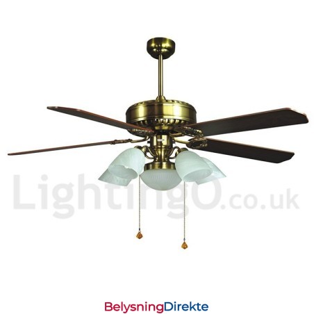 52" Europeisk Stil Moderne Samtids Takvifte