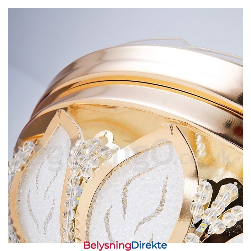 42" Europeisk Stil Moderne Samtids Takvifte