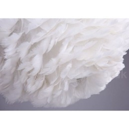 Flerfarget Fjærlysekrone Moderne Og Moderne Anhengslampe