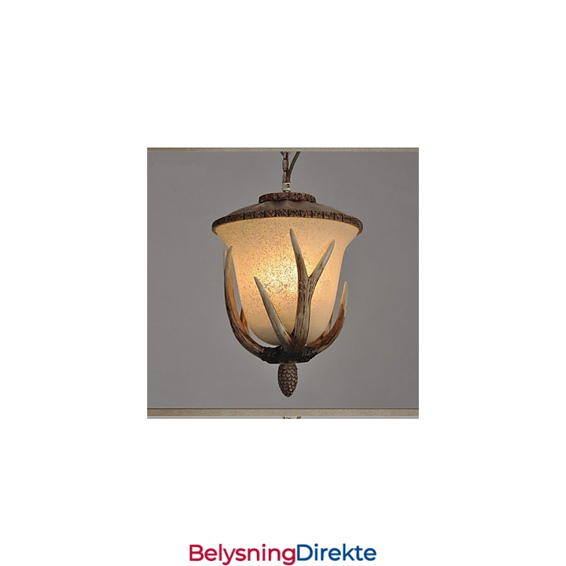 Pendellampe Med Enkelt Hode Og Lysekrone