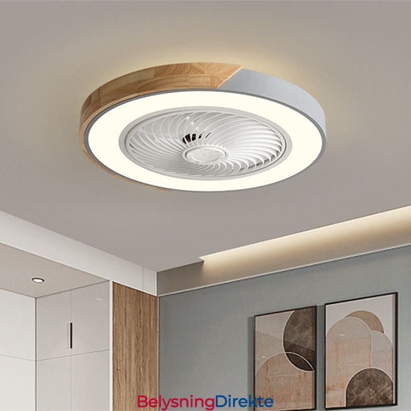 Smart Takvifte Med Lys, Fjernkontroll, Dekorviftelampe