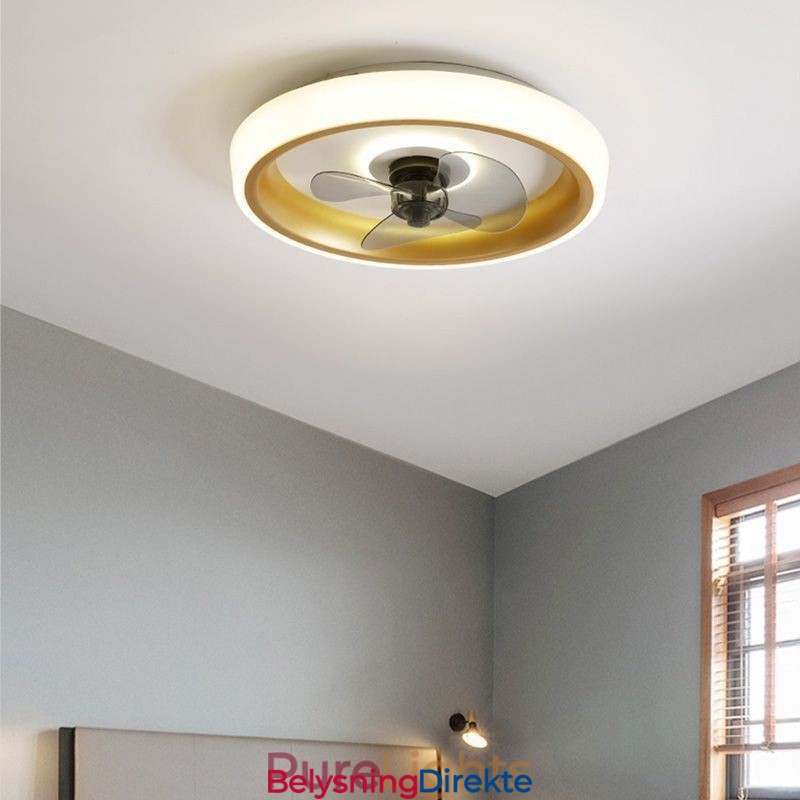 Moderne Takvifte Med Lys Fjernkontroll Taklampe