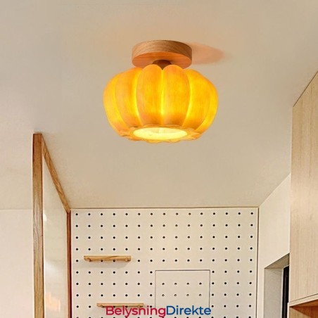 Japanske Retro Taklamper Med Ett Hode, Gresskar Og Innfelt Montering