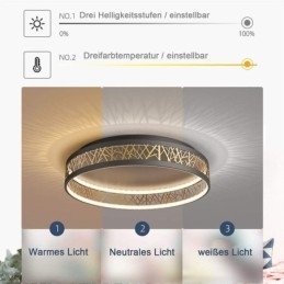 Taklampe Fuglerede Rund Lampe Moderne Armaturer