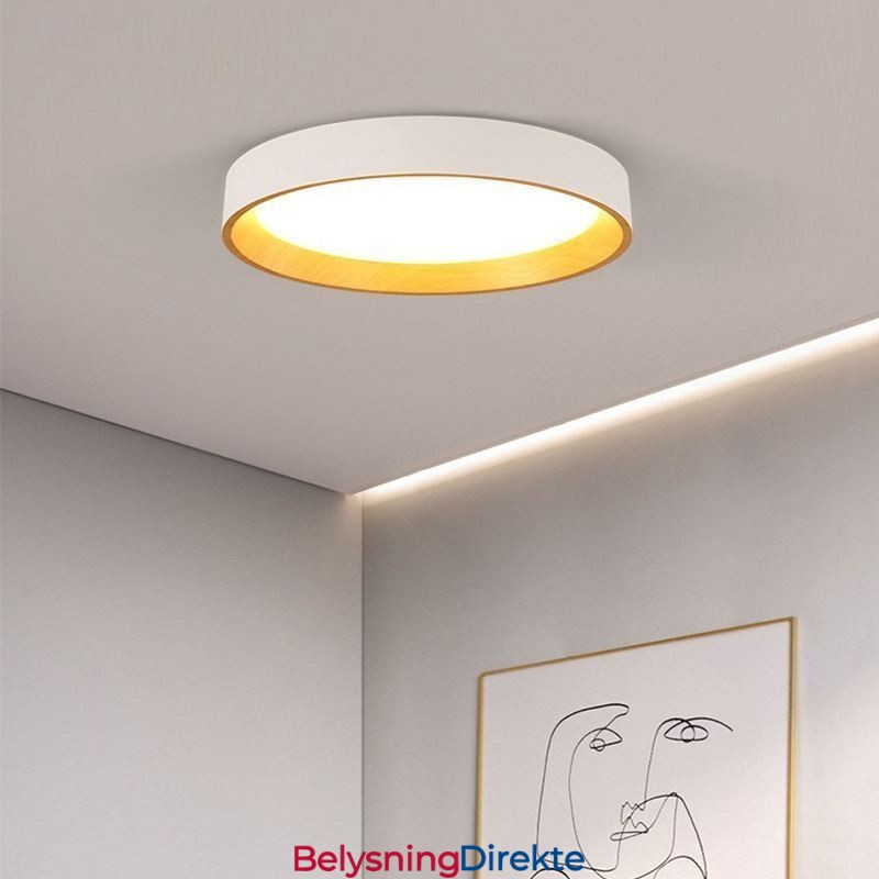 Taklampe Moderne Minimalistisk Innfelt Panellampe