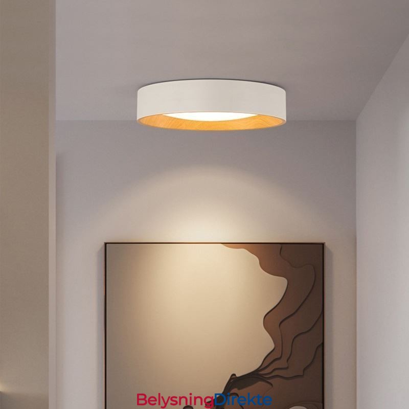 Taklampe Moderne Minimalistisk Innfelt Panellampe