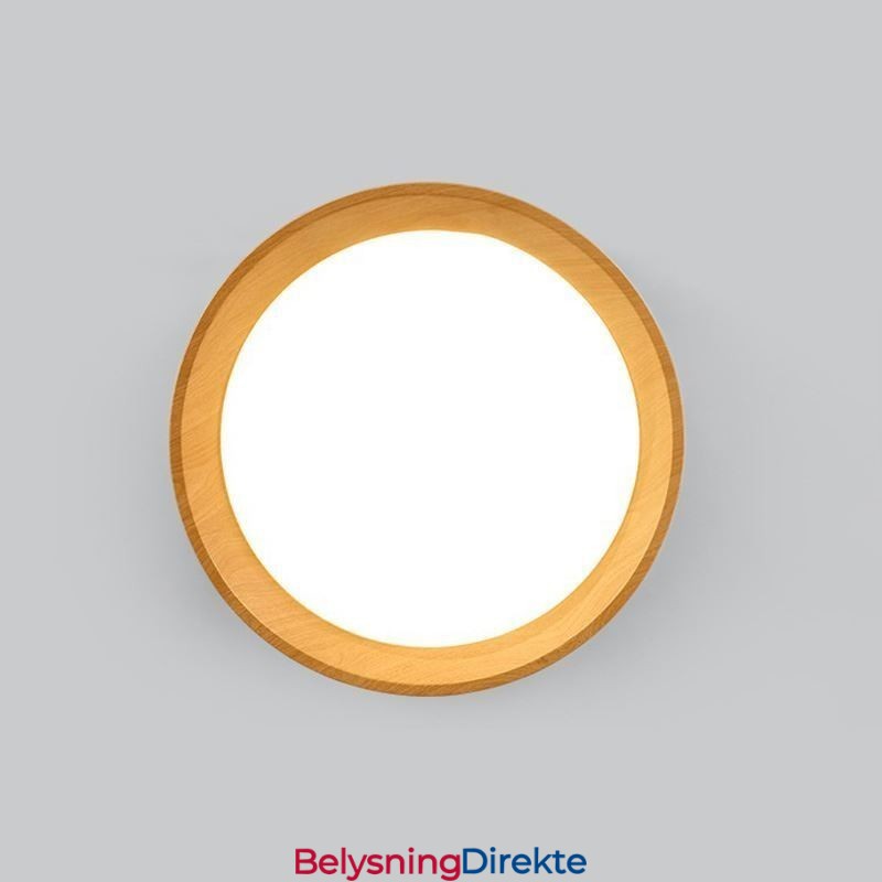 Taklampe Moderne Minimalistisk Innfelt Panellampe