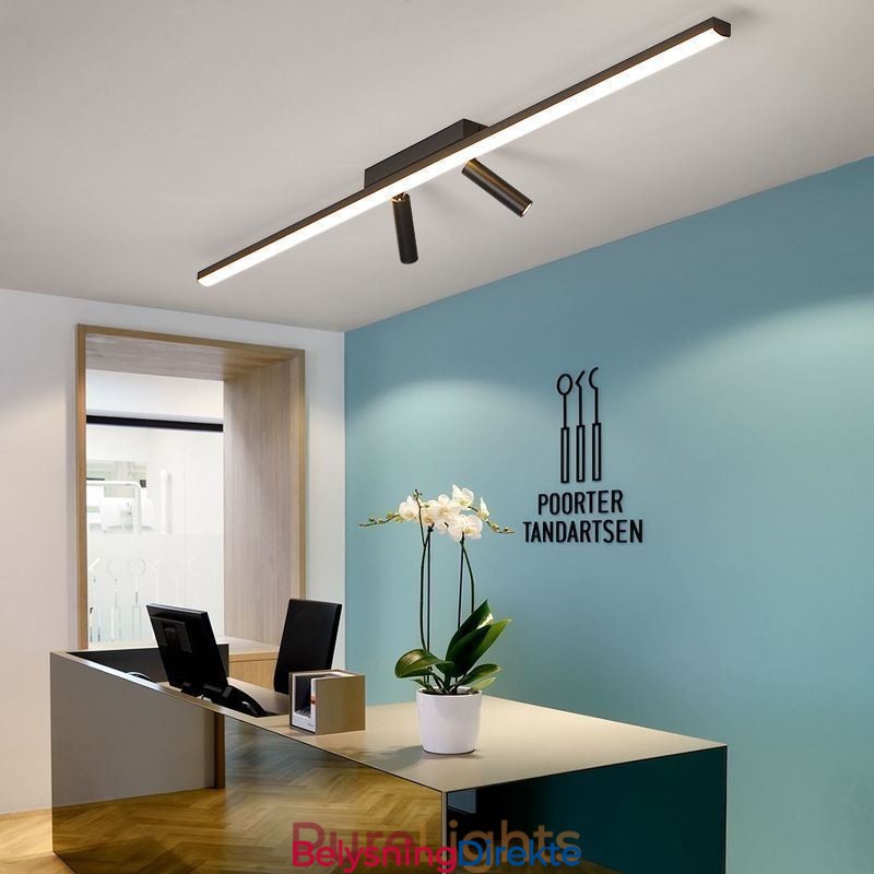 Lineær Akryl Spotlight I Taket