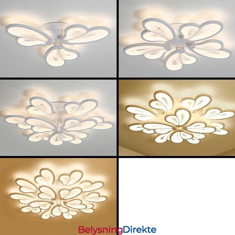 Moderne, Enkel, Innfelt Taklampe I Akryl, Kronbladformet