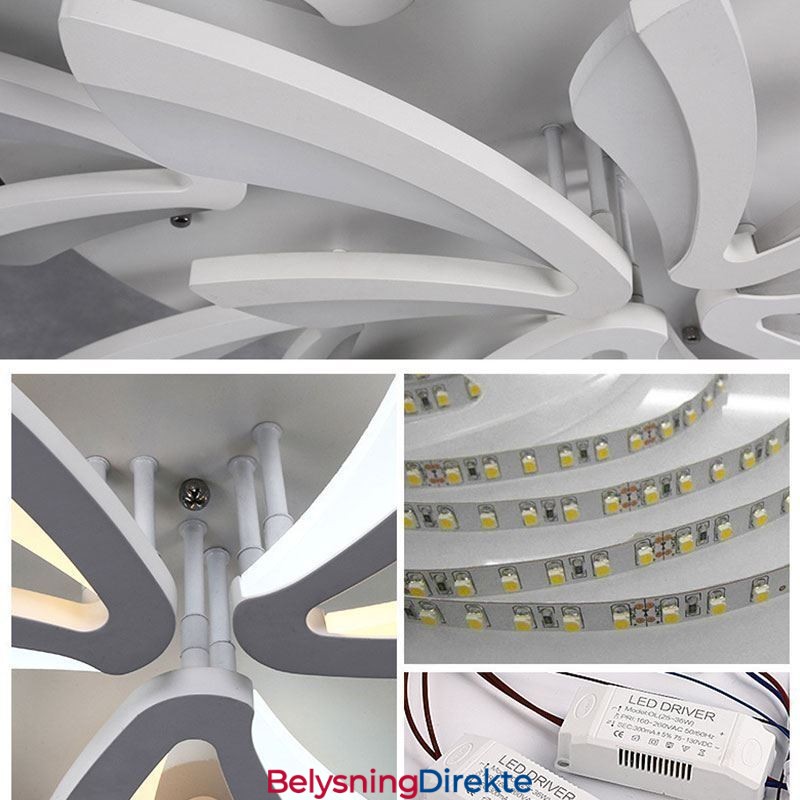 Moderne, Enkel Taklampe Med Løvetannmotiv