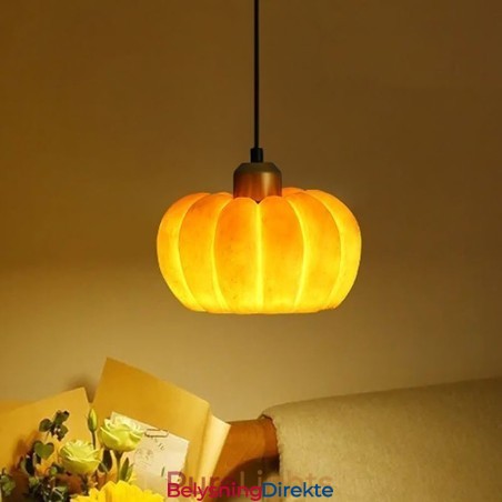 Enkelthodet Gresskar-Anhengslampe Japansk Retro Taklampe