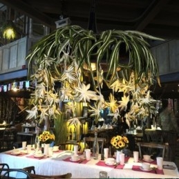 Hjem Pendellampe Industriell Stil Kunstig Plantedekorert Lysekrone