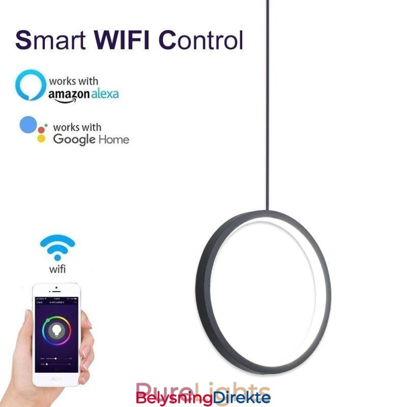 Minimalistisk Ringpendellampe Dekorativ Taklampe