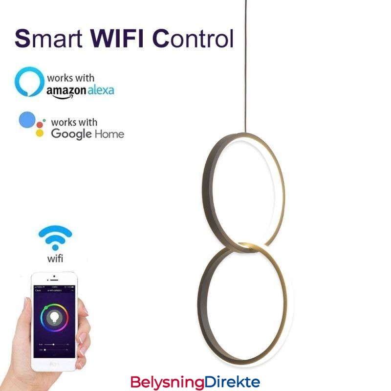 Mimimalist Dobbel Ringformet Pendellampe