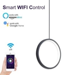 Minimalistisk Ringpendellampe Dekorativ Taklampe