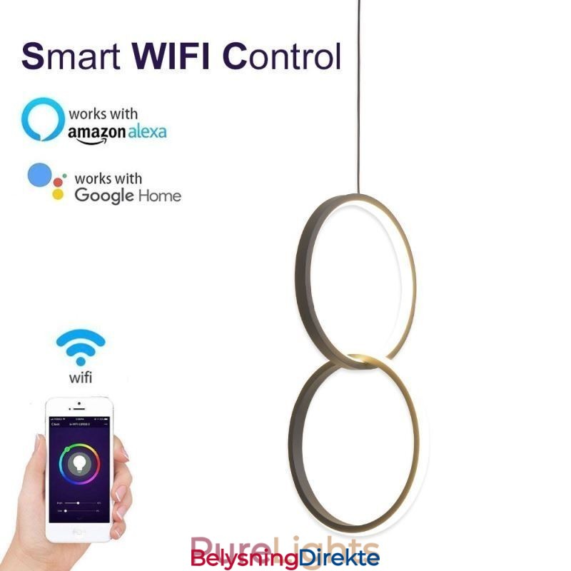 Mimimalist Dobbel Ringformet Pendellampe