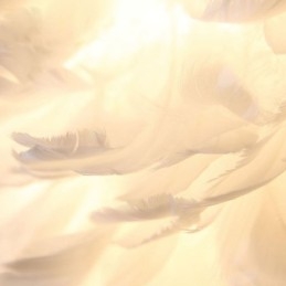 Pen Dekorativ Pendellampe Med Fjær