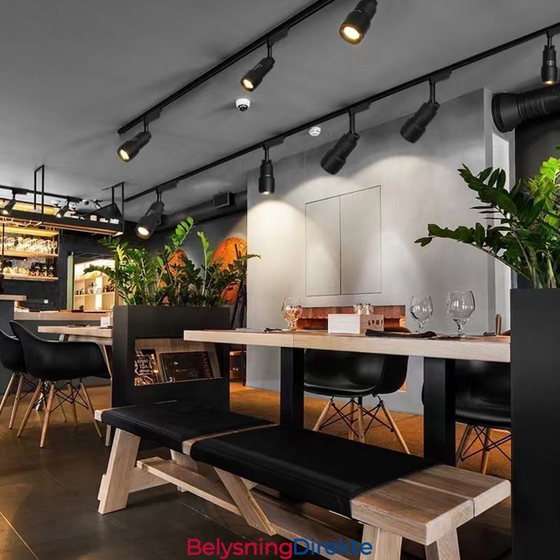 Skinnespotlight Gratis Fokusering Aksentbelysning