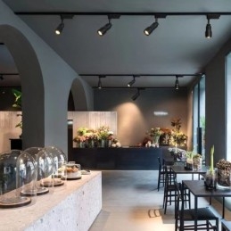 Skinnespotlight Gratis Fokusering Aksentbelysning