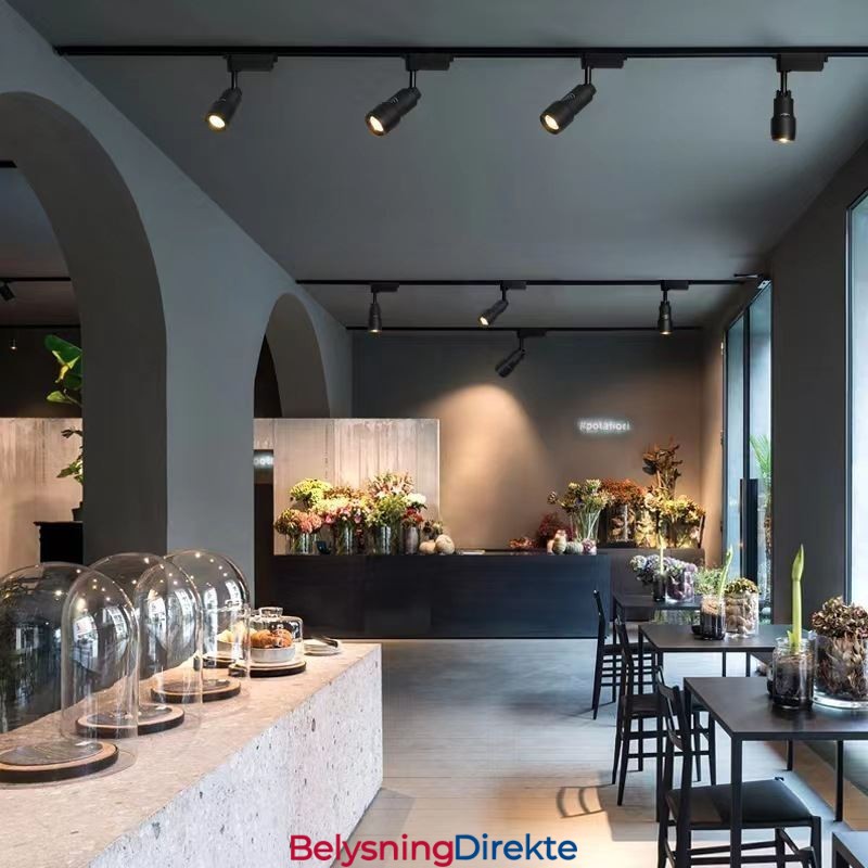 Skinnespotlight Gratis Fokusering Aksentbelysning