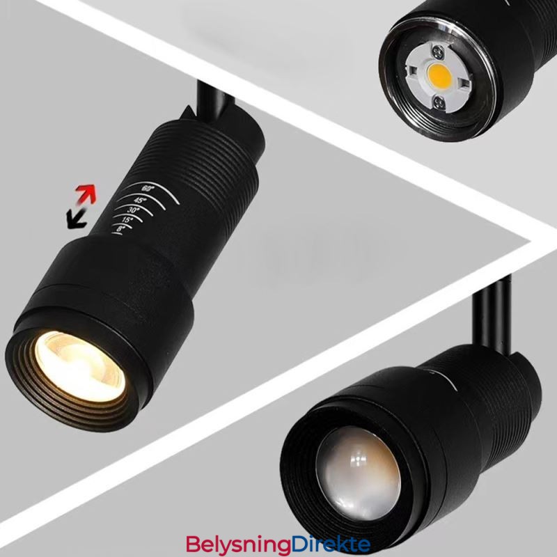 Skinnespotlight Gratis Fokusering Aksentbelysning