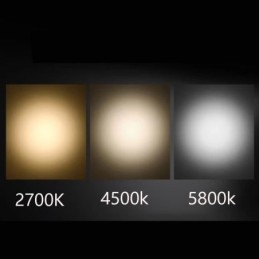 Skinnespotlight Gratis Fokusering Aksentbelysning