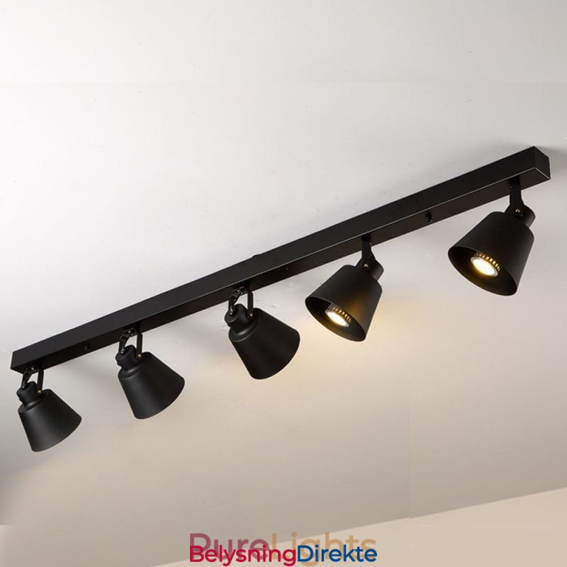 Rustikk Vintage Spotlight Industriell Jernskinnebelysning