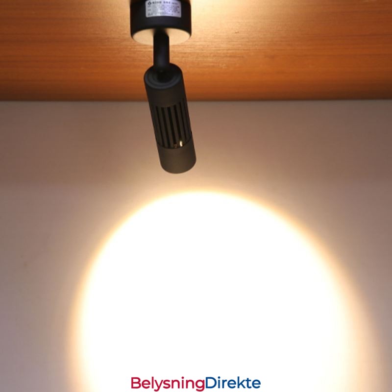 Roterbar Cob-Spotlight Svart Takspotlight (Enkelt Lys)