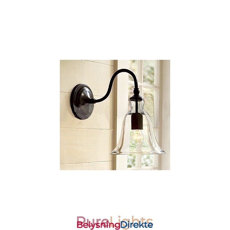 Naturinspirert Vegglampe I Jern Med Gjennomsiktig Glassskjerm