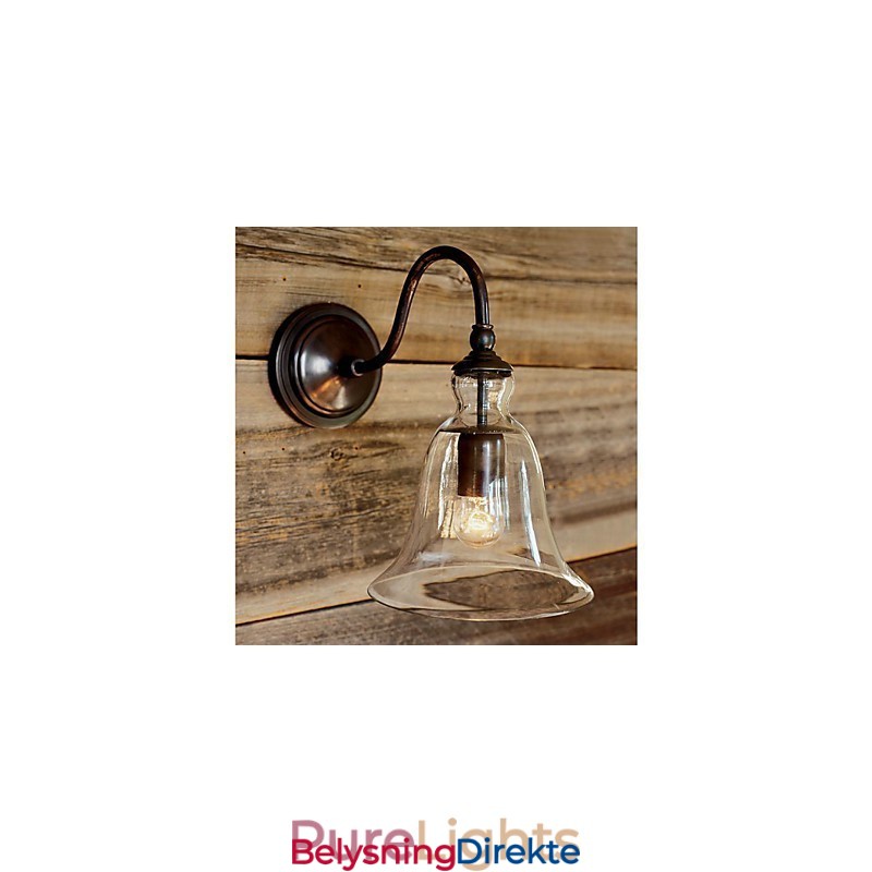 Naturinspirert Vegglampe I Jern Med Gjennomsiktig Glassskjerm