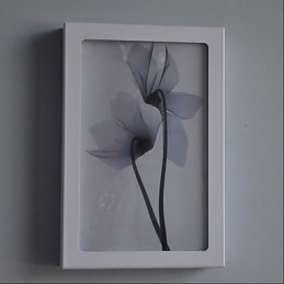 Integrert Moderne Samtidskunstnerisk Moderne Samtidsmalerifunksjon For Omgivende Lysvegglamper