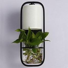 Moderne Jern Kreativ Potteplante Glassvegglampe