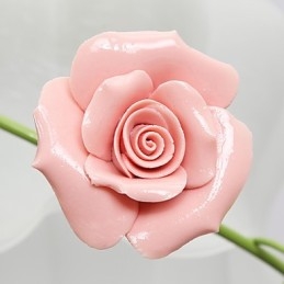 Valentinsdagen Rosehagen Blomster Og Planter Absorberer Kuppellys