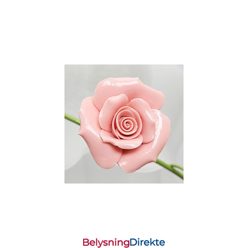 Valentinsdagen Rosehagen Blomster Og Planter Absorberer Kuppellys