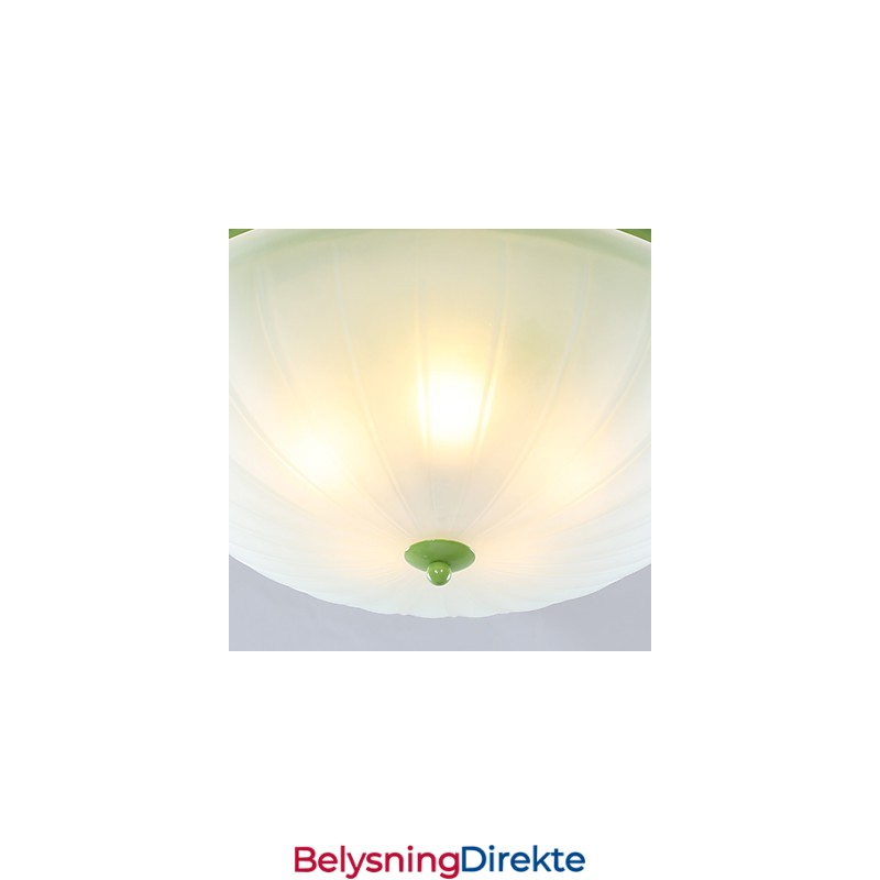 Valentinsdagshageblomster Og -Planter Absorberer Kuppellys