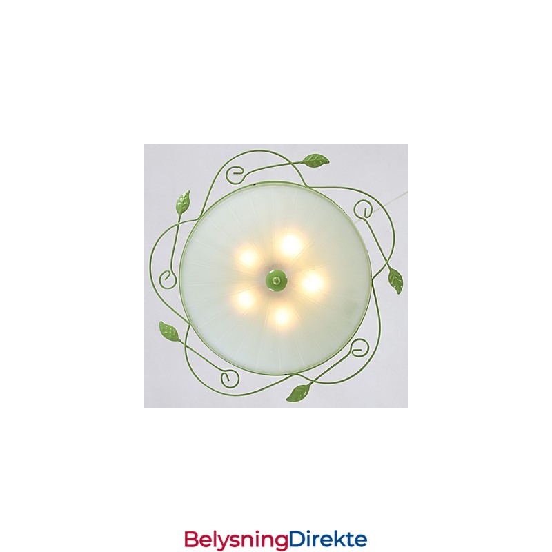 Valentinsdagshageblomster Og -Planter Absorberer Kuppellys