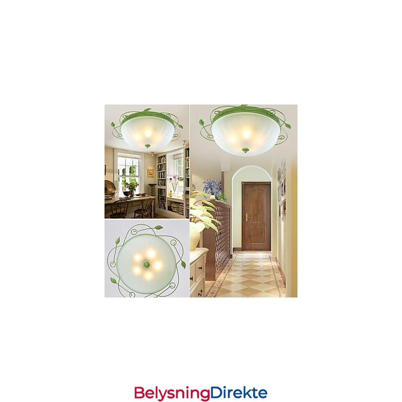 Valentinsdagshageblomster Og -Planter Absorberer Kuppellys