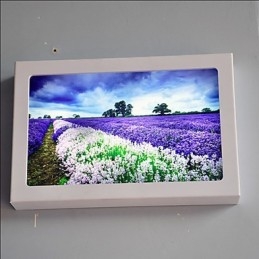 Integrert Moderne Samtidskunstnerisk Moderne Samtidsmalerifunksjon For Omgivende Lysvegglamper